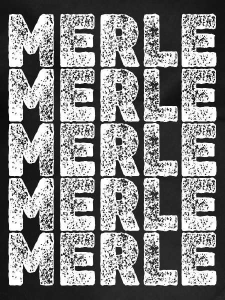 Held Merle