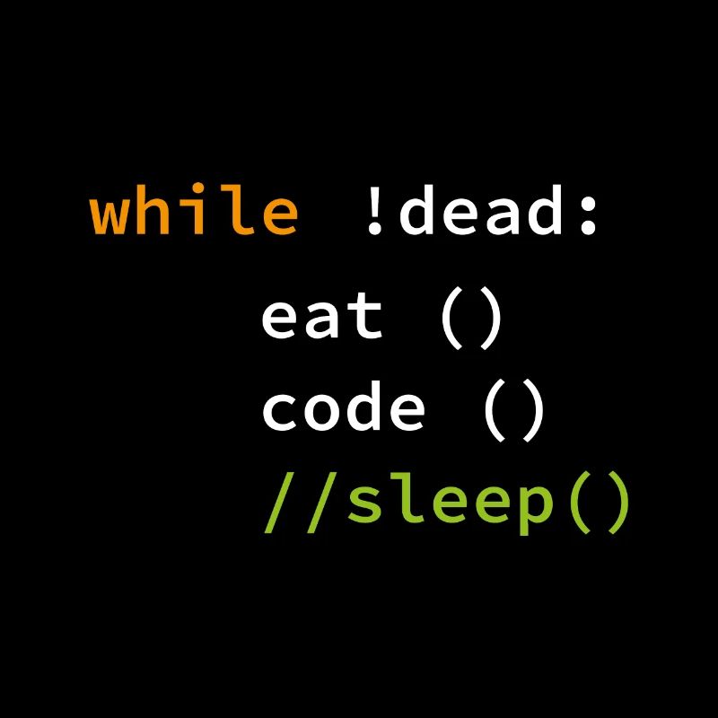 Funny Coding Programmer Gift