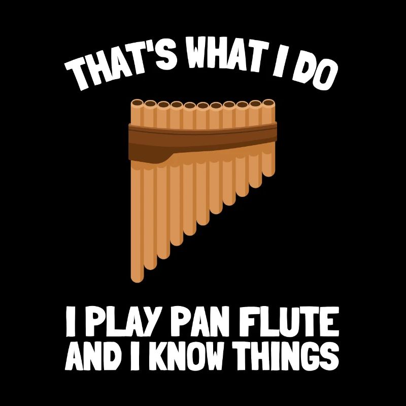 Pan Pipe Instrument Pérou Flûte de Pan en bois