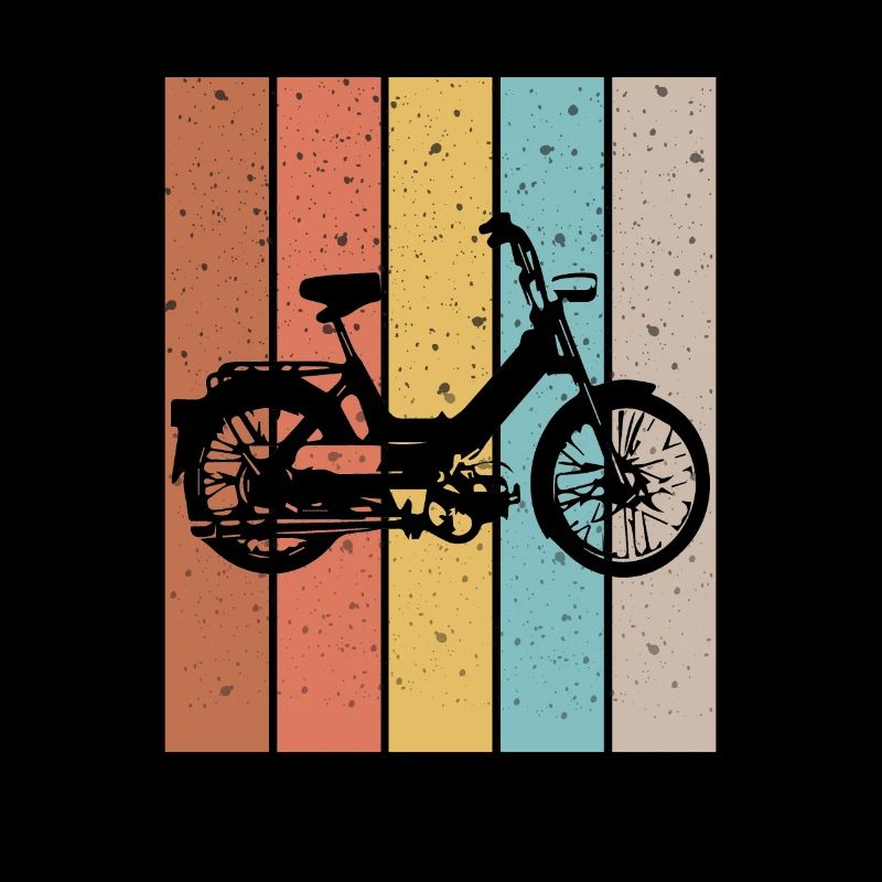 DDR Moped Oldtimer Roller Mofa Scooter 2 Takter