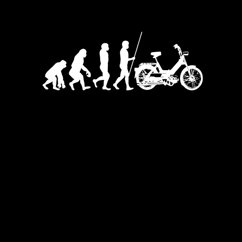 DDR Mobylette Oldtimer Roller Mofa Scooter 2 Takter