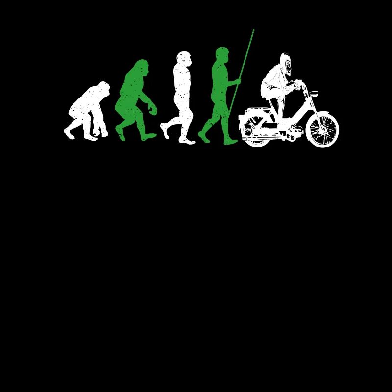 DDR Moped Oldtimer Roller Mofa Scooter 2 Takter