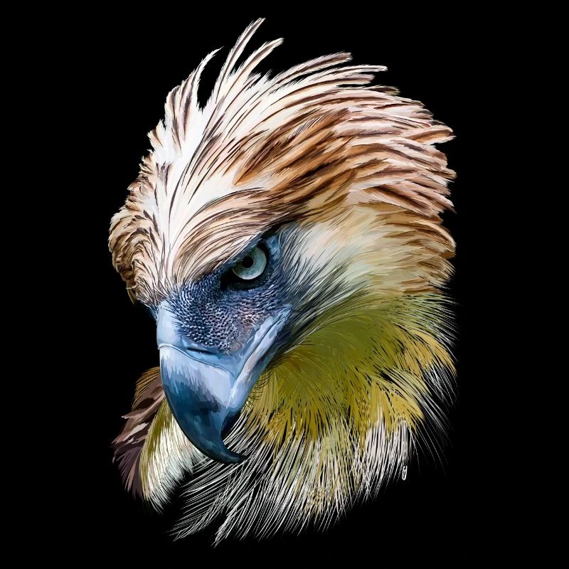 Aigle