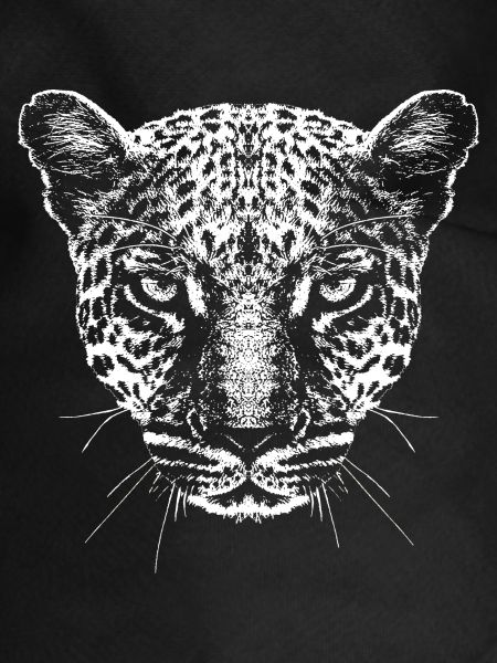 Leopard / Head / Graphic / White