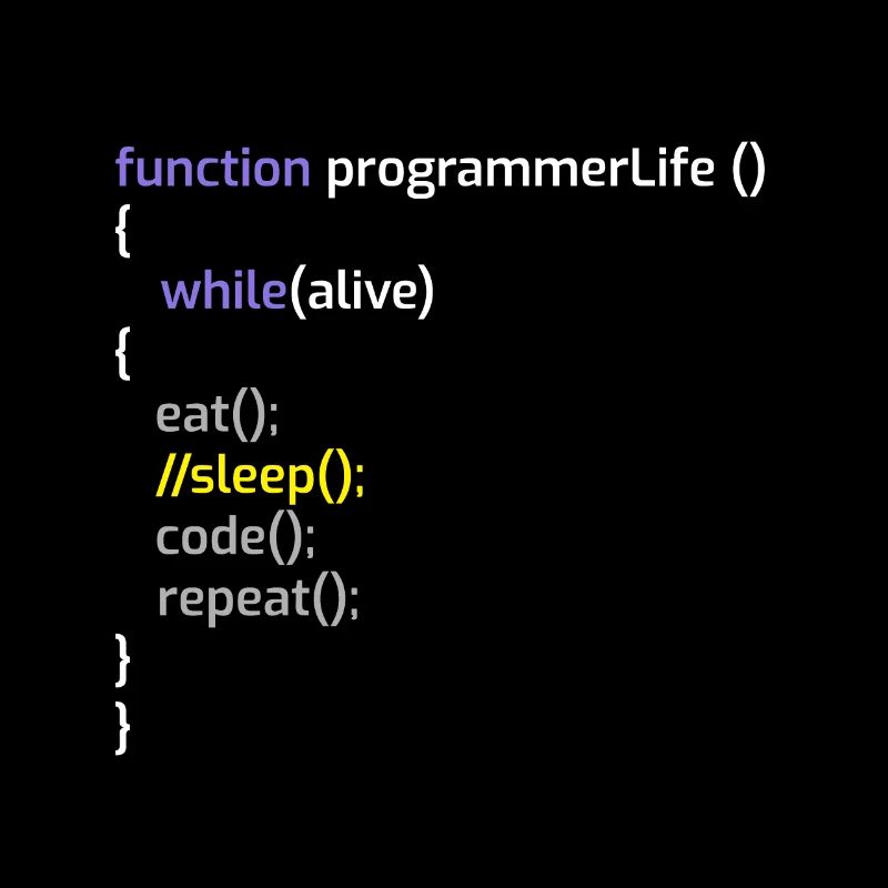 Programmeur informatique Codeurs Software Engineers Gift