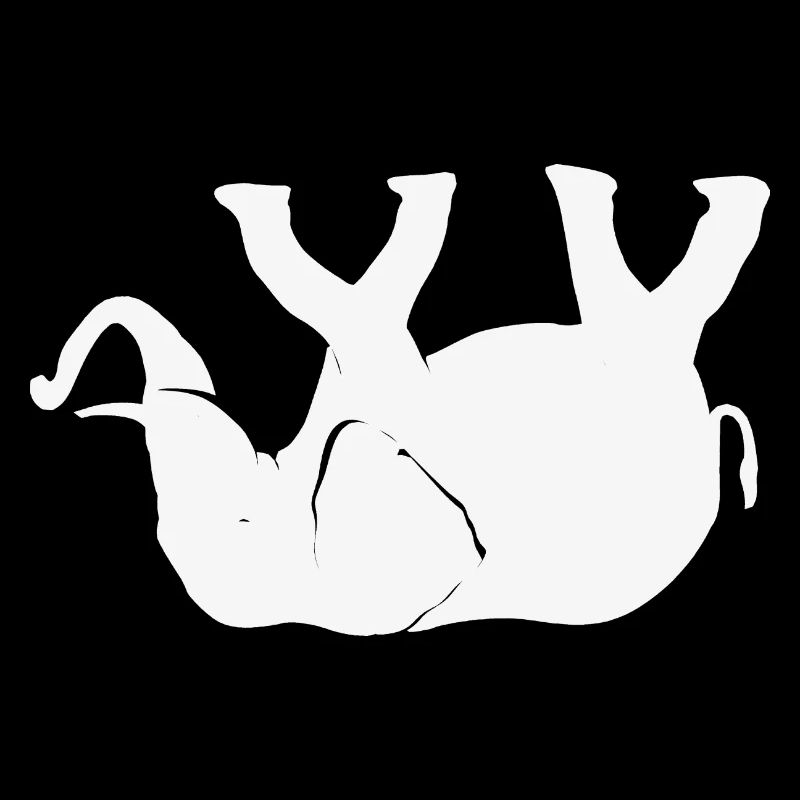 Elephant on its back