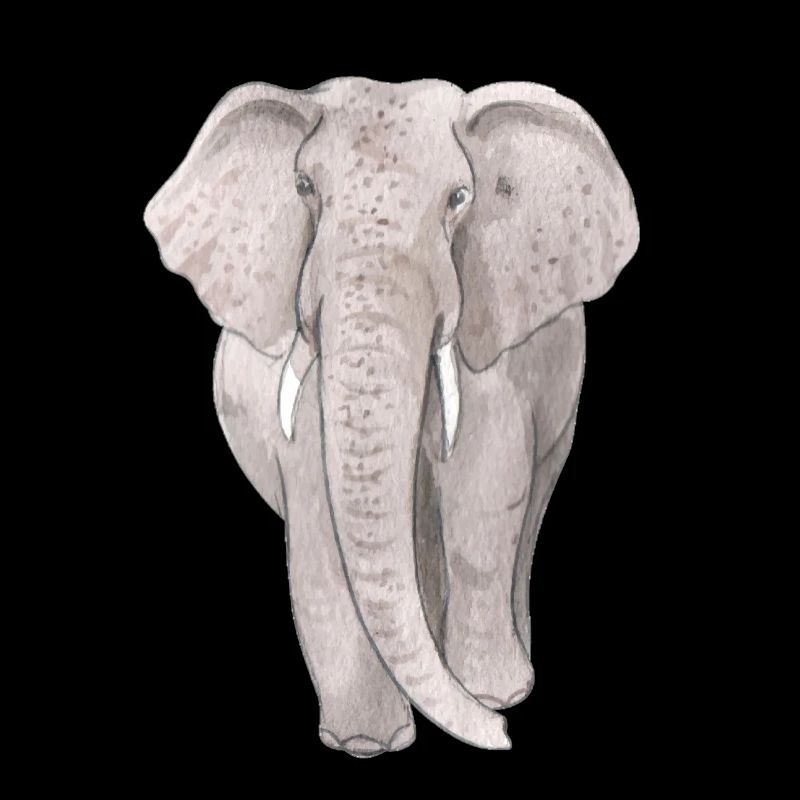 Großer Elefant