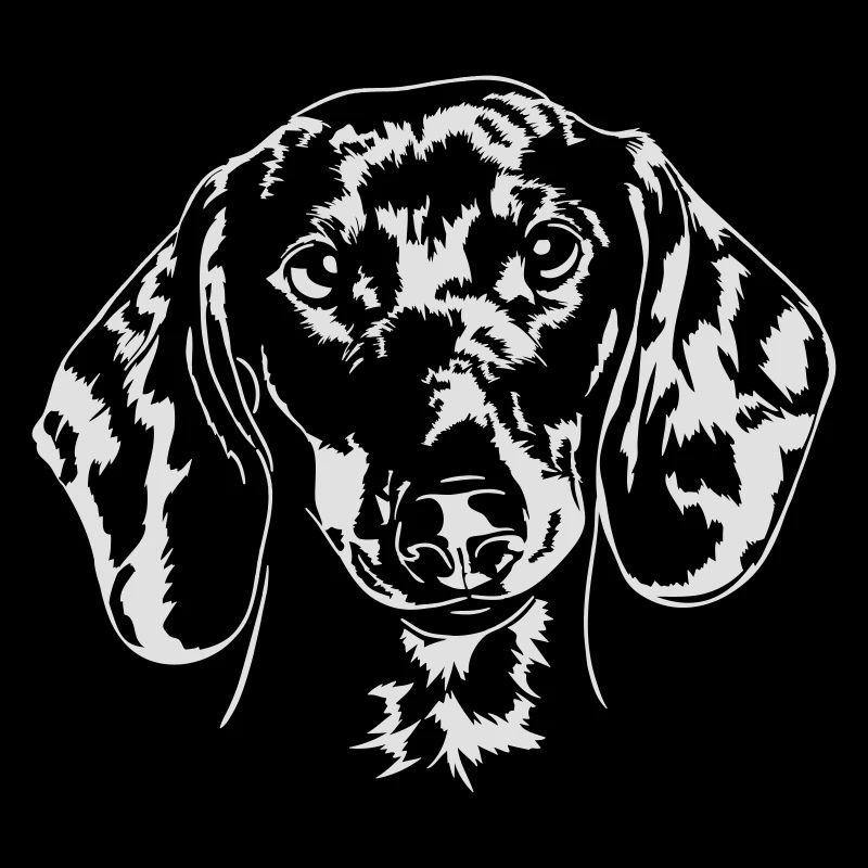 DACKEL DACHSHUND Teckel Wilsigns Hunde