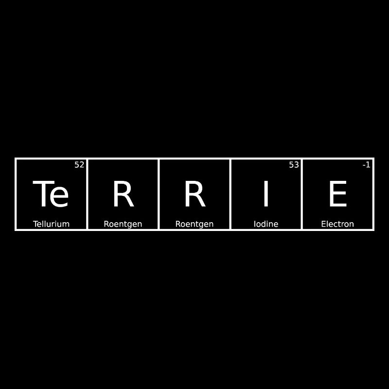 Terry Name First Name Chemistry Periodic Table Elements
