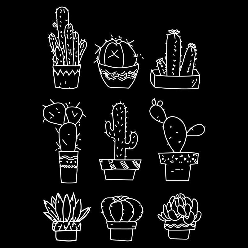 6 different cacti white