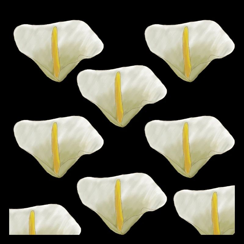 Aquarelle Lys Blanc Aquarelle Lily