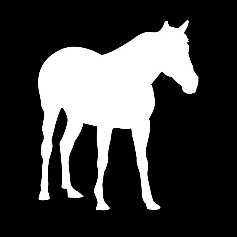 Cheval chevaux chevaux