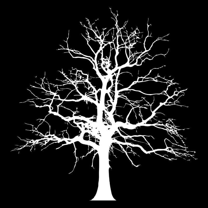 Arbre hiver automne
