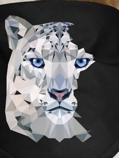 Snow Leopard Split