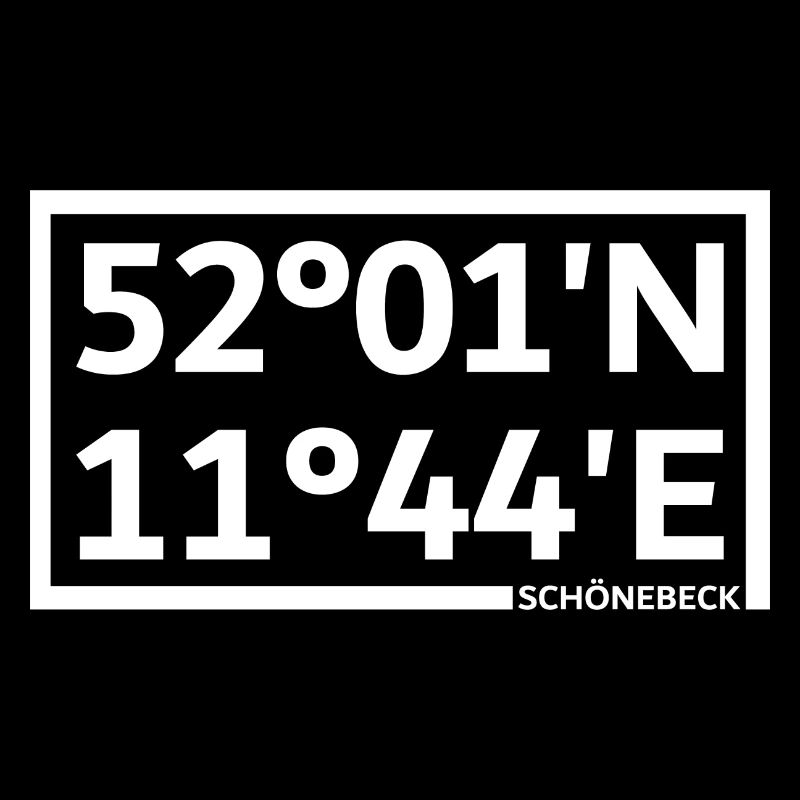 Schönebeck coordinates