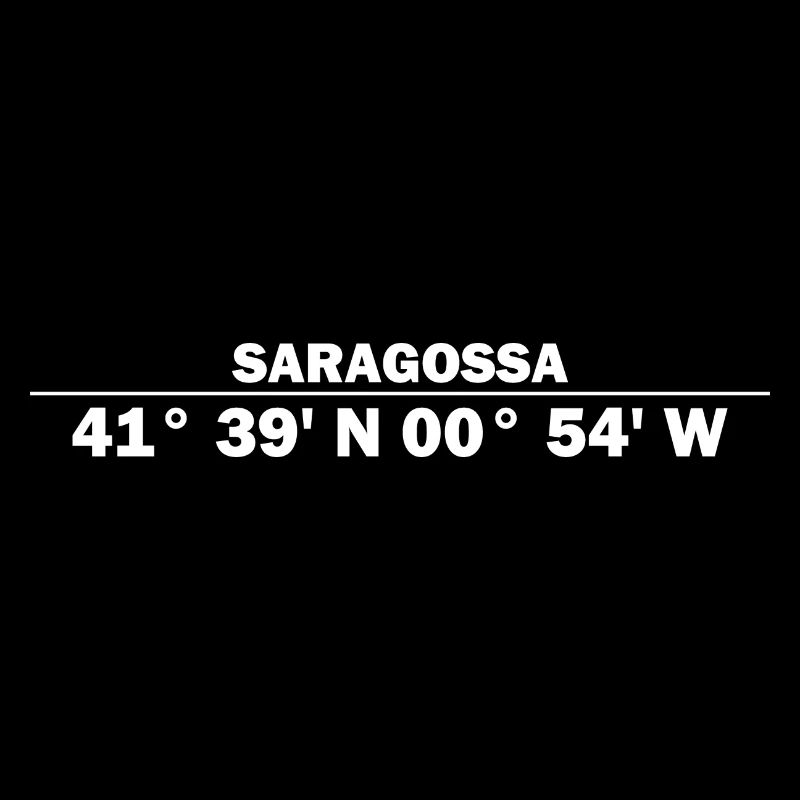 Zaragoza coordinates