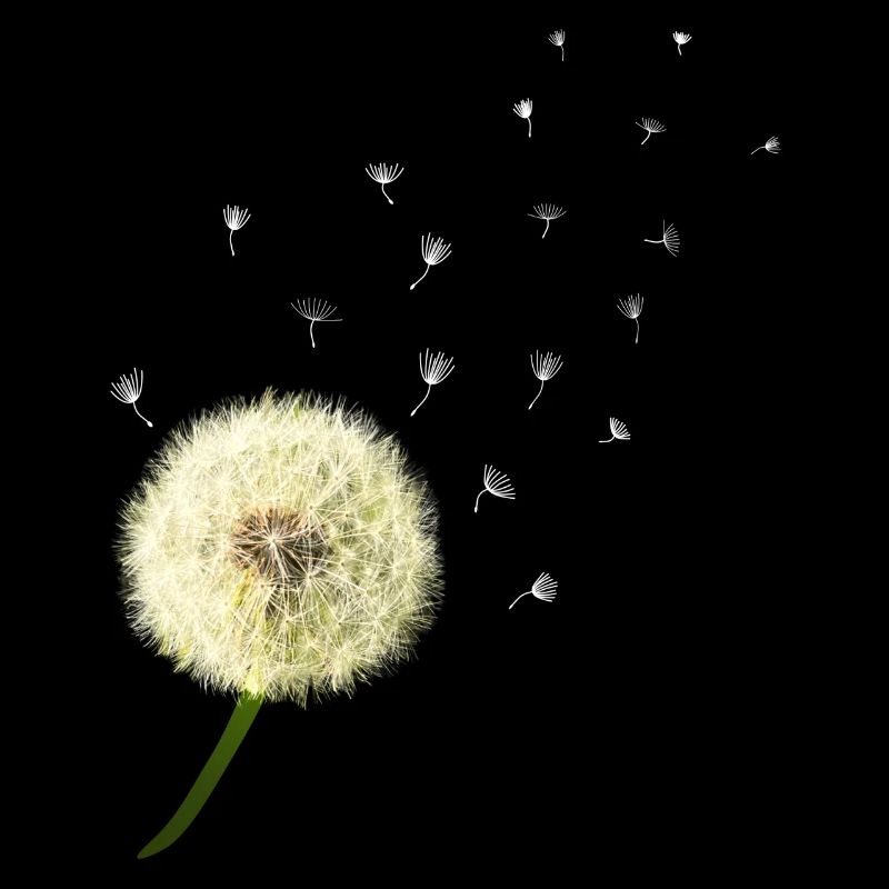 Dandelion wish you something