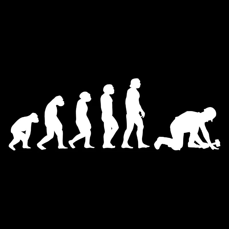 Evolution Pflasterer