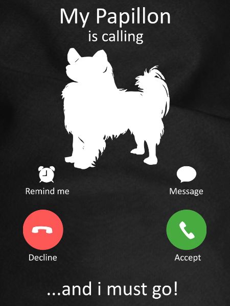 Papillon Dog Calling Smartphone Interface