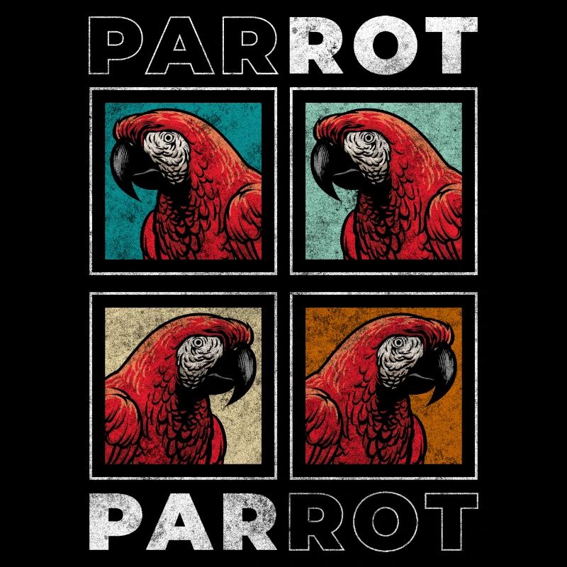 Bird Feathers Environment