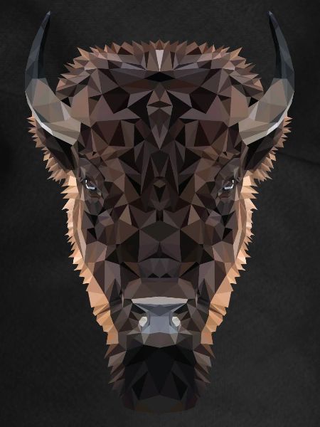 bison