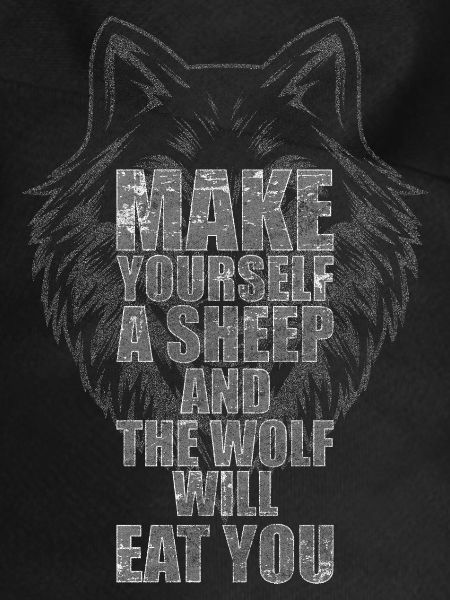 Wolves Dog Grey Wolf
