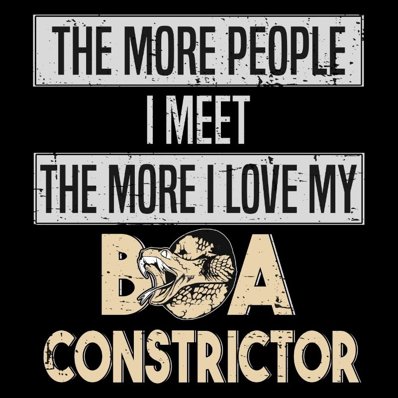 Boa Constrictor Snake Snake amour