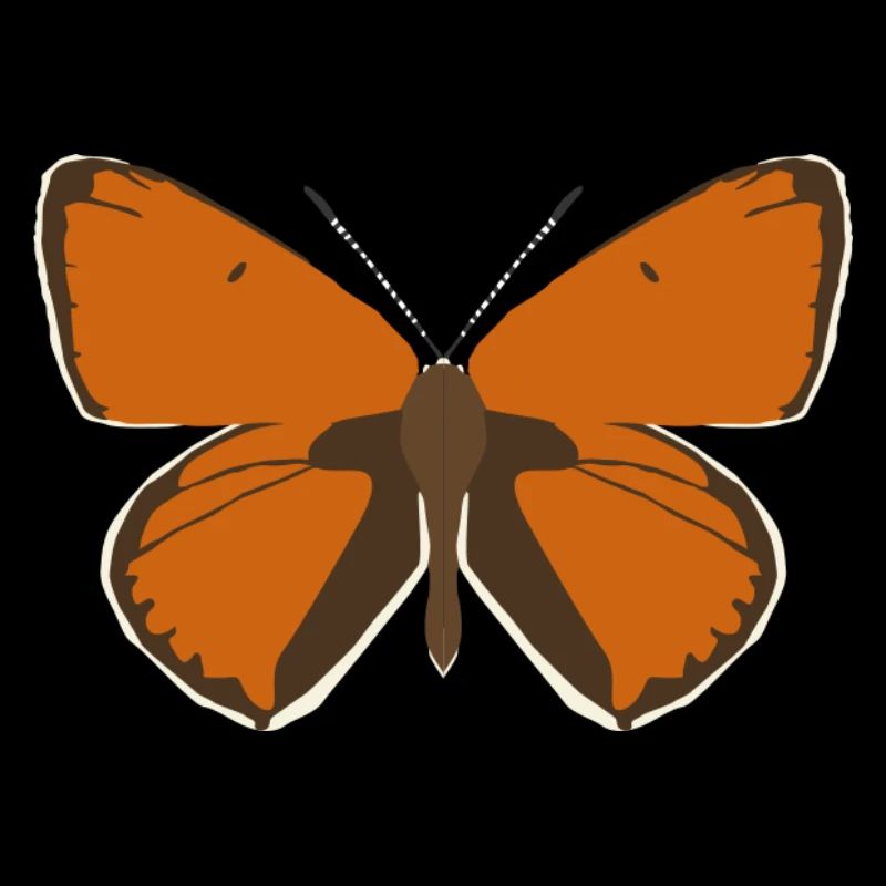 Papillons : Le Grand Papillon de Feu
