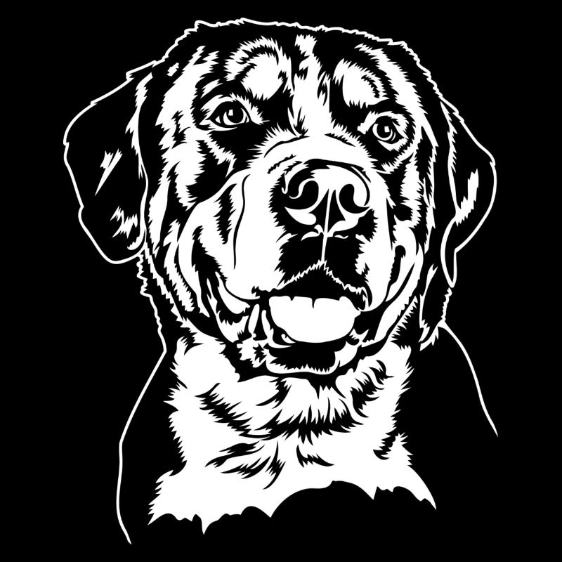 Grand Portrait de Bouvier Suisse Wilsigns