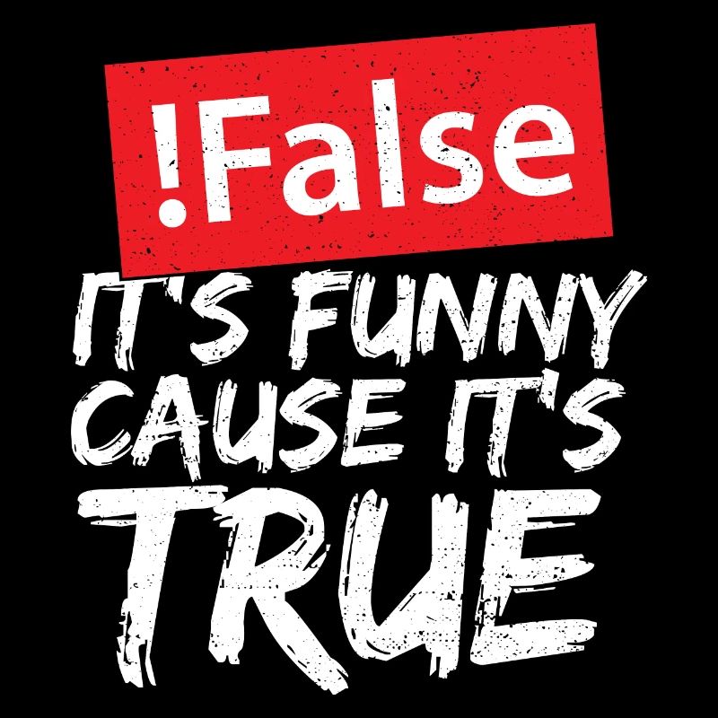 False It's Funny Cause It's True - Programmieren
