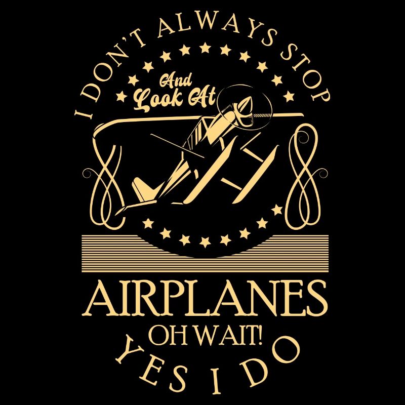 Modellflugzeug Hobby Pilot Modell