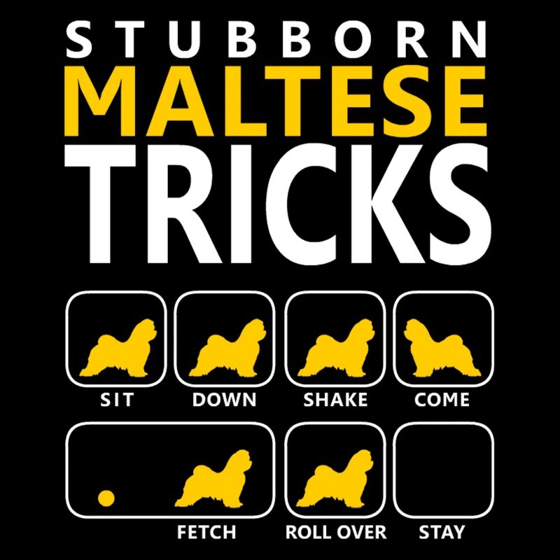 Stubborn Maltese Tricks