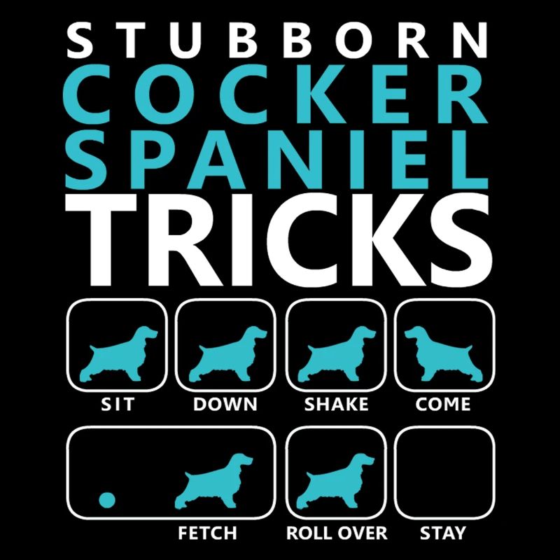 Hartnäckige Cocker Spaniel Tricks