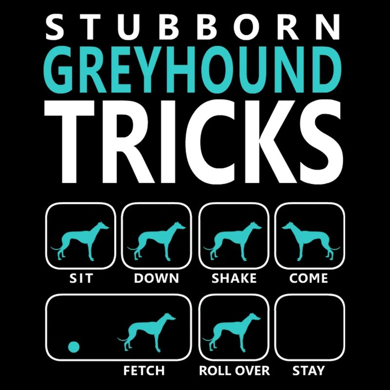 Stubborn Greyhound Tricks