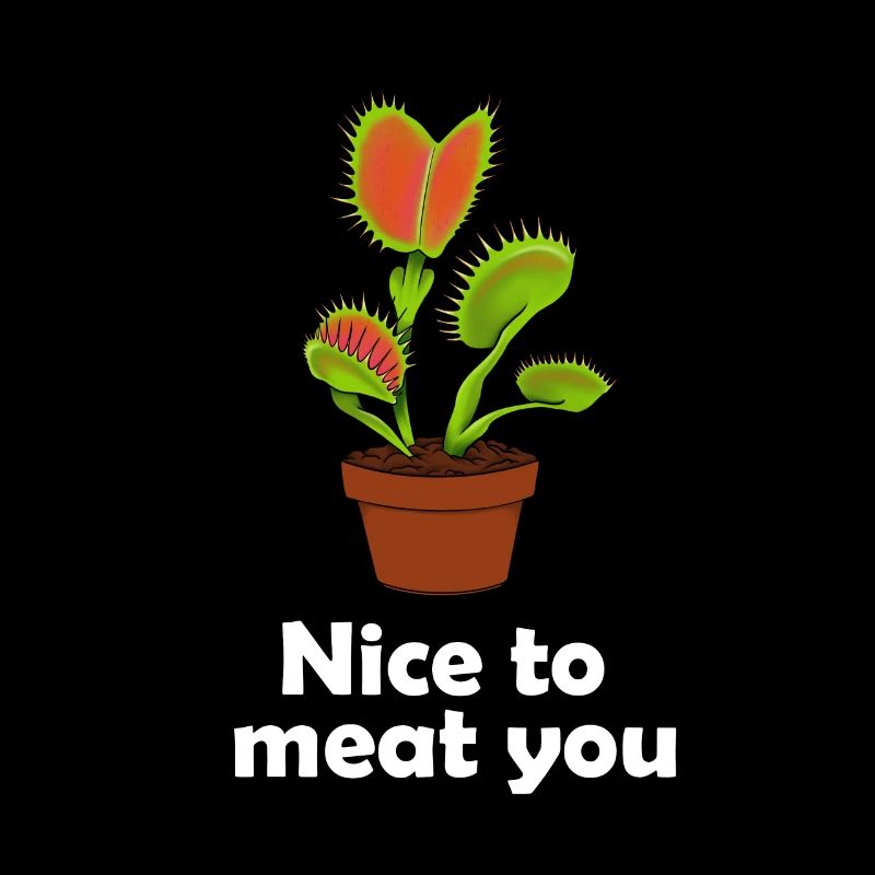 Venus flytrap carnivorous plant gift