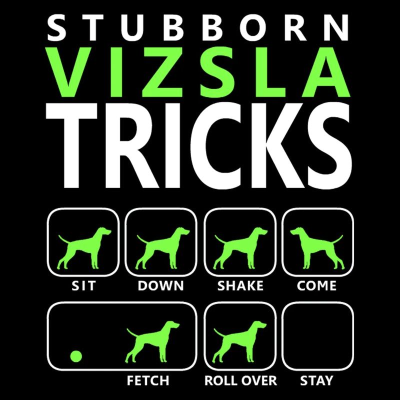 Stubborn Vizsla Tricks