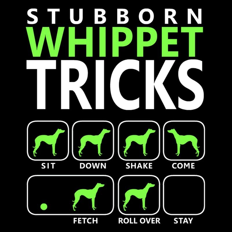 Stubborn Whippet Tricks