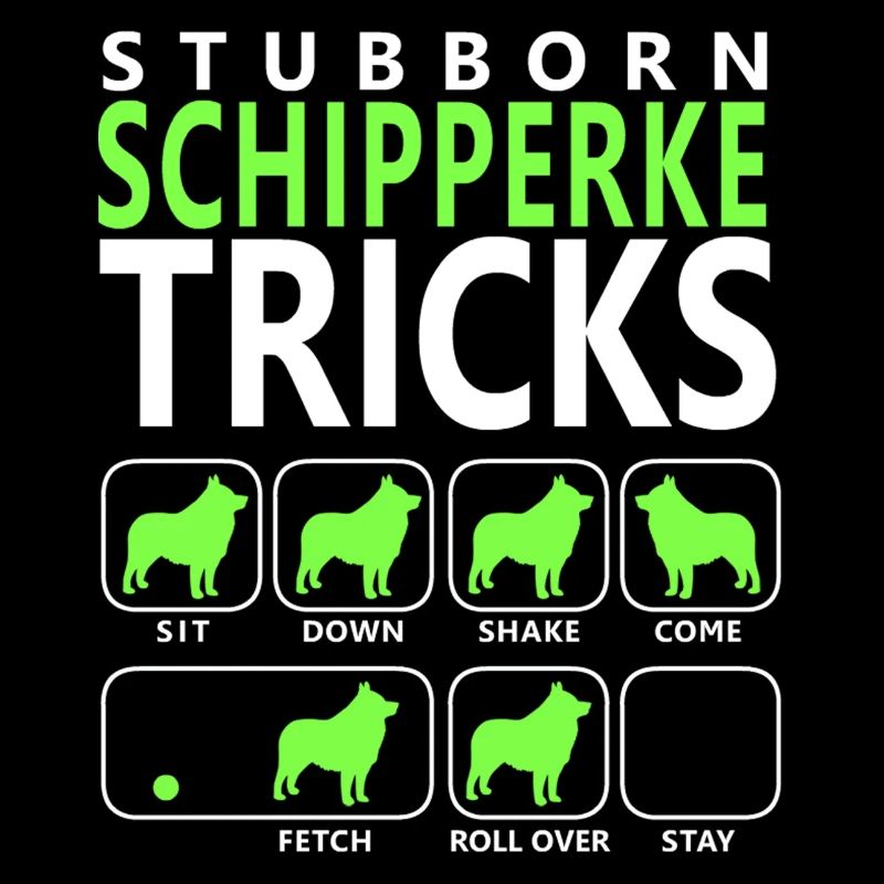 Stubborn Schipperke Tricks