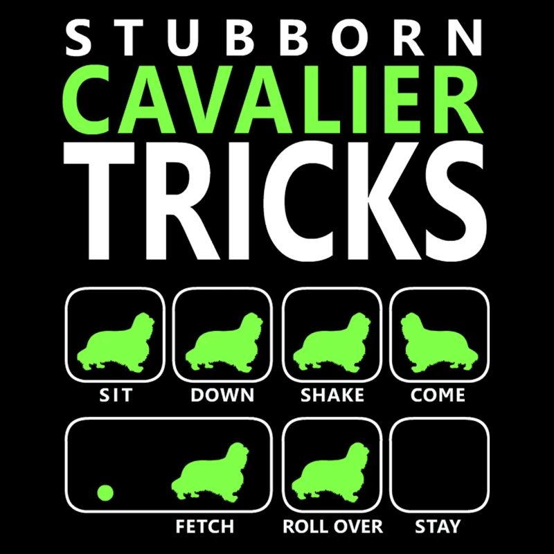 Hartnäckige Cavalier Tricks