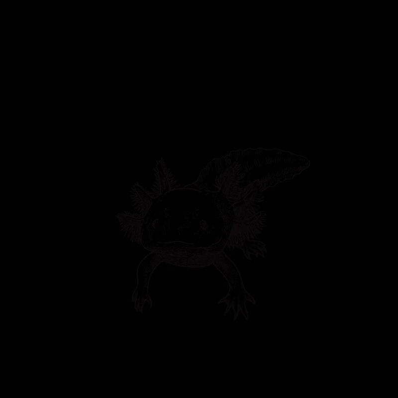 Anatomie eines Axolotl, lustiger Axolotl