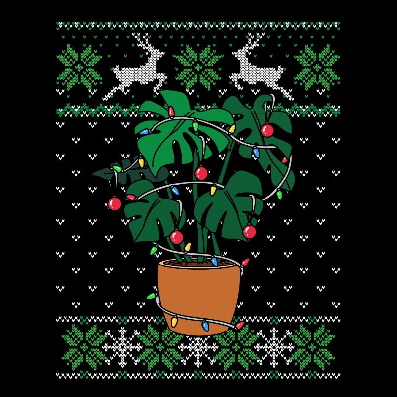 Monstera Ugly Christmas Style Plants