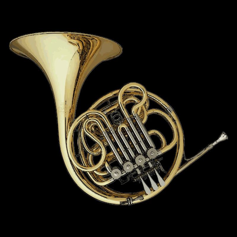 double Horn