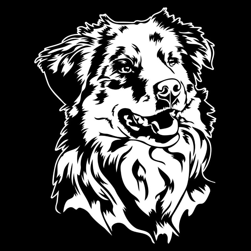 Australian Shepherd Aussie Portrait Dogs Wilsigns