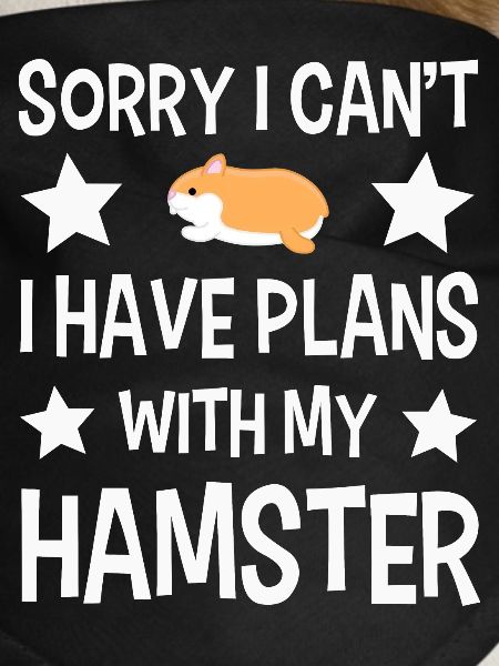 hamster
