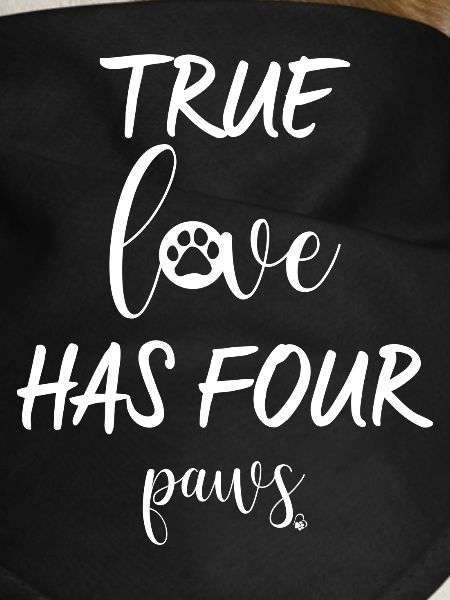 True love has four paws
