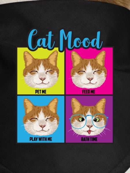 Funny Cat Moods
