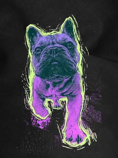 Neon Bulldog Splash
