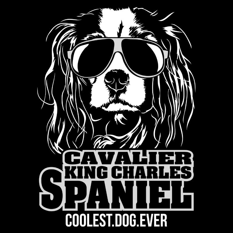Cavalier King Charles Spaniel chien le plus cool jamais
