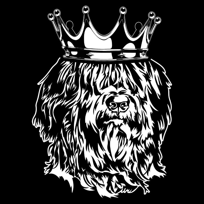 Briard Berger de Brie Krone Chien Chiens Wilsigns