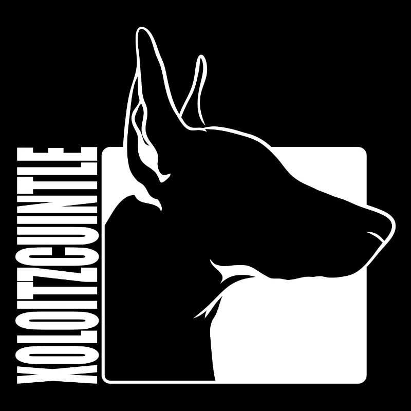 Xoloitzcuintle Profil Chien Chiens Wilsigns